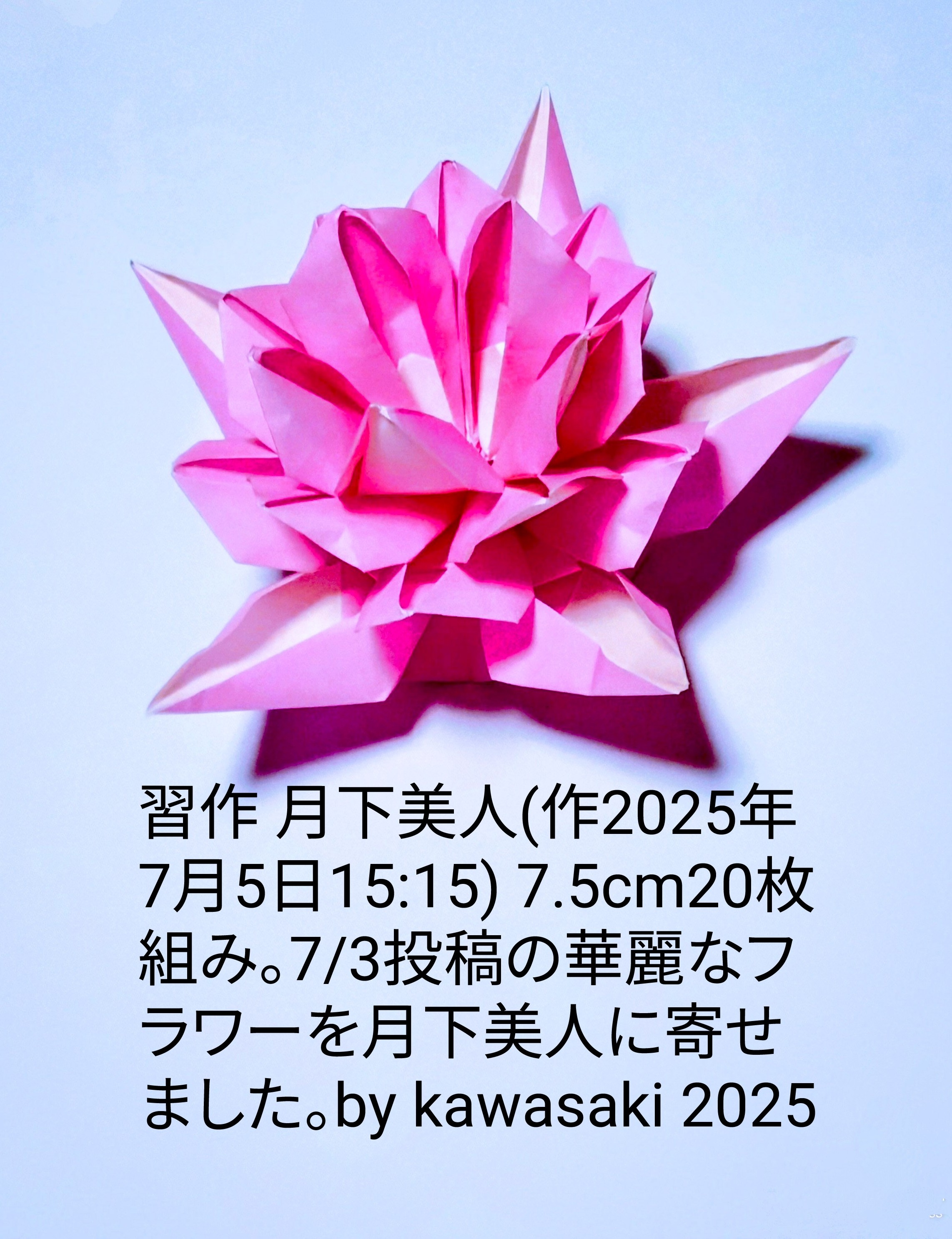 2025/07/05(Sat) 15:27「習作 月下美人(作2025年7月5日15:15)」川崎敏和 Toshikazu Kawasaki
（創作者 Author：川崎敏和 Toshikazu Kawasaki,　製作者 Folder：川崎敏和 Toshikazu Kawasaki,　出典 Source：no diagram）
 7.5cm20枚組み。7/3投稿の華麗なフラワーを月下美人に寄せました。by kawasaki 2025