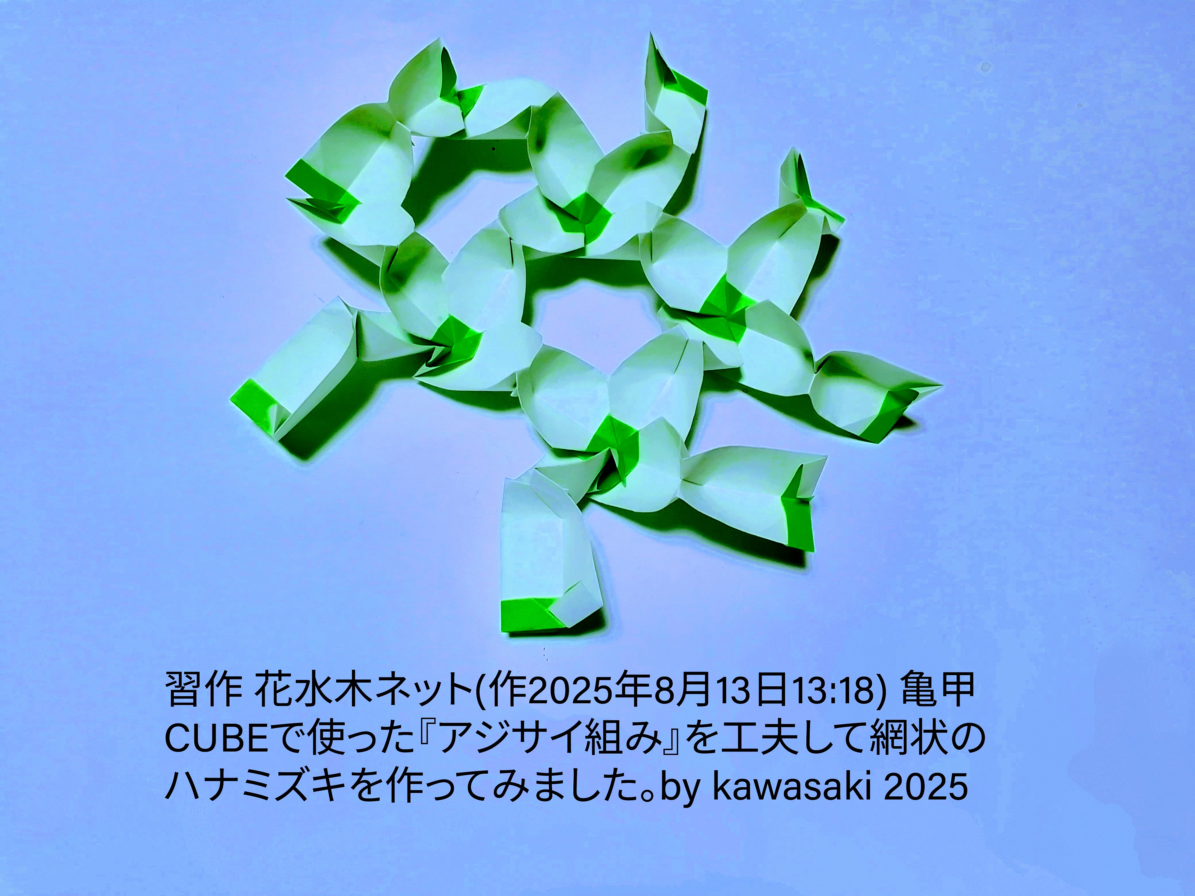 2025/08/13(Wed) 13:52「習作 花水木ネット(作2025年8月13日13:18)」川崎敏和 Kawasaki Toshikazu
（創作者 Author：川崎敏和 Kawasaki Toshikazu,　製作者 Folder：川崎敏和 Kawasaki Toshikazu,　出典 Source：no diagram）
 習作 花水木ネット(作2025年8月13日13:18) 亀甲CUBEで使った『アジサイ組み』を工夫して網状のハナミズキを作ってみました。by kawasaki 2025