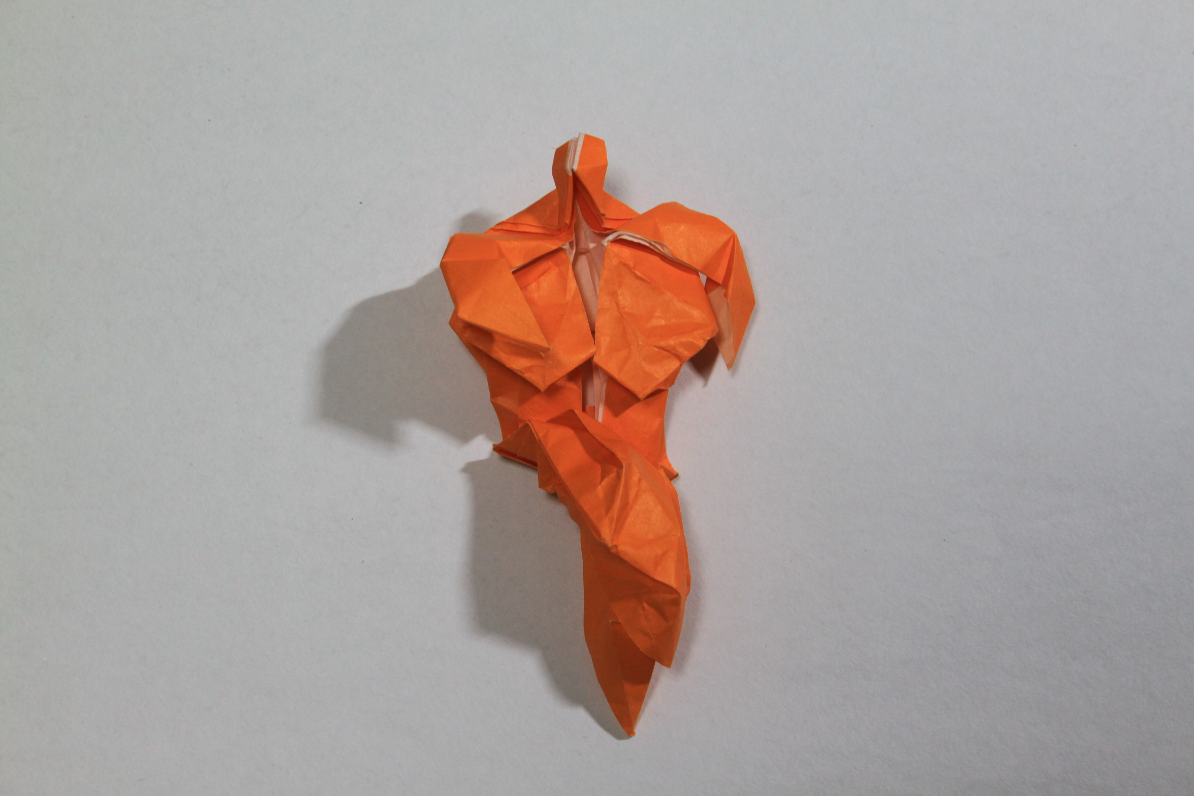 2025/10/03(Fri) 20:17「ボディービルダー」富田理亮
（創作者 Author：山田弘士郎,　製作者 Folder：富田理亮,　出典 Source：）
 ２２．５度系の半開折りでかっちりと筋肉を表現しているのが秀逸な作品。折っていて楽しかった。