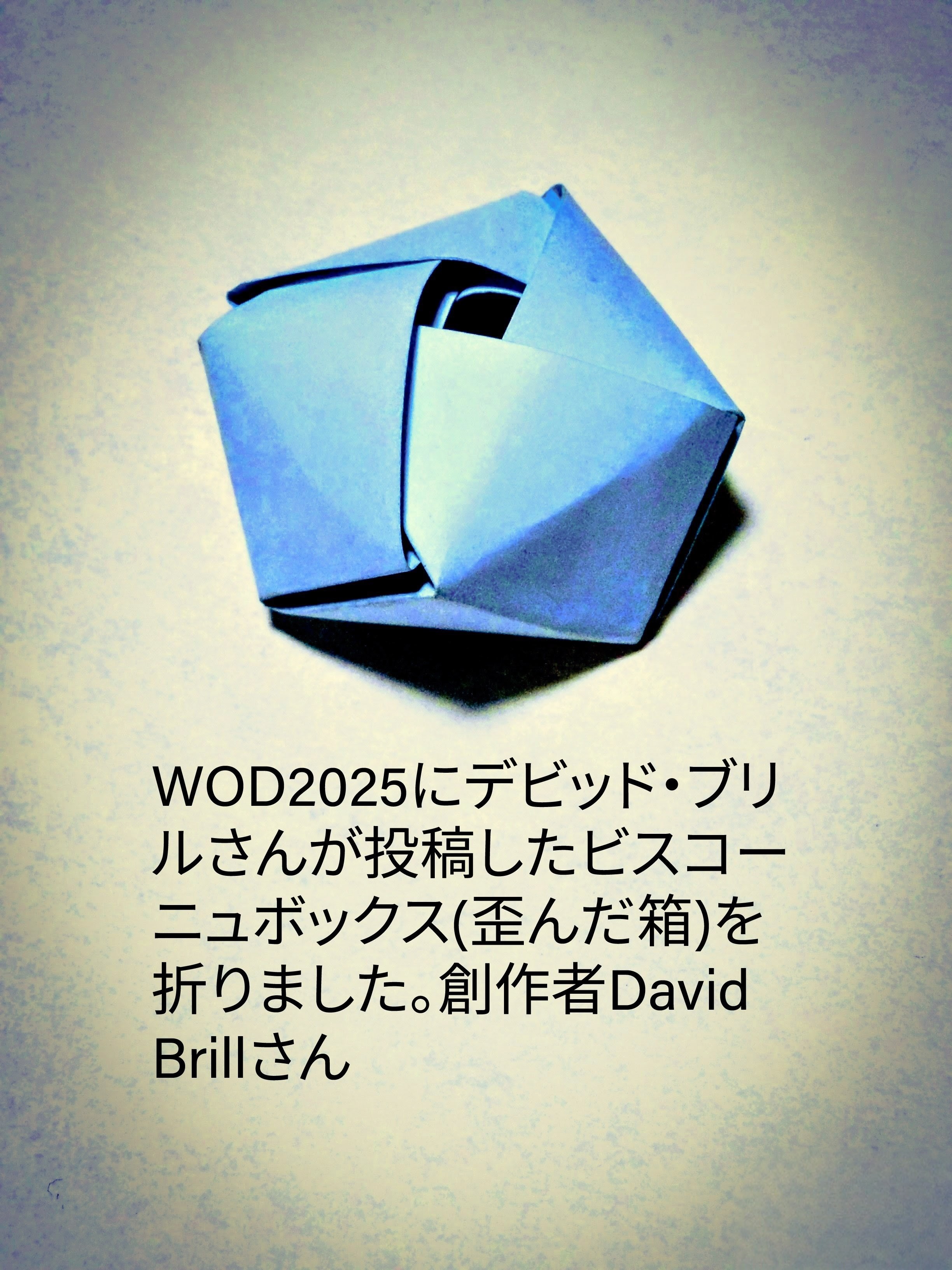 2025/11/11(Tue) 17:42「ビスコーニュボックス(歪んだ箱)  David Brill」川崎敏和 Kawasaki Toshikazu
（創作者 Author：David Brill(デビッド・ブリル),　製作者 Folder：川崎敏和 Kawasaki Toshikazu,　出典 Source：WOD2025@ブリルさんのFacebook）
 WOD2025へのデビッド・ブリルさんの投稿作品「ビスコーニュボックス(歪んだ箱) 」を折りました。