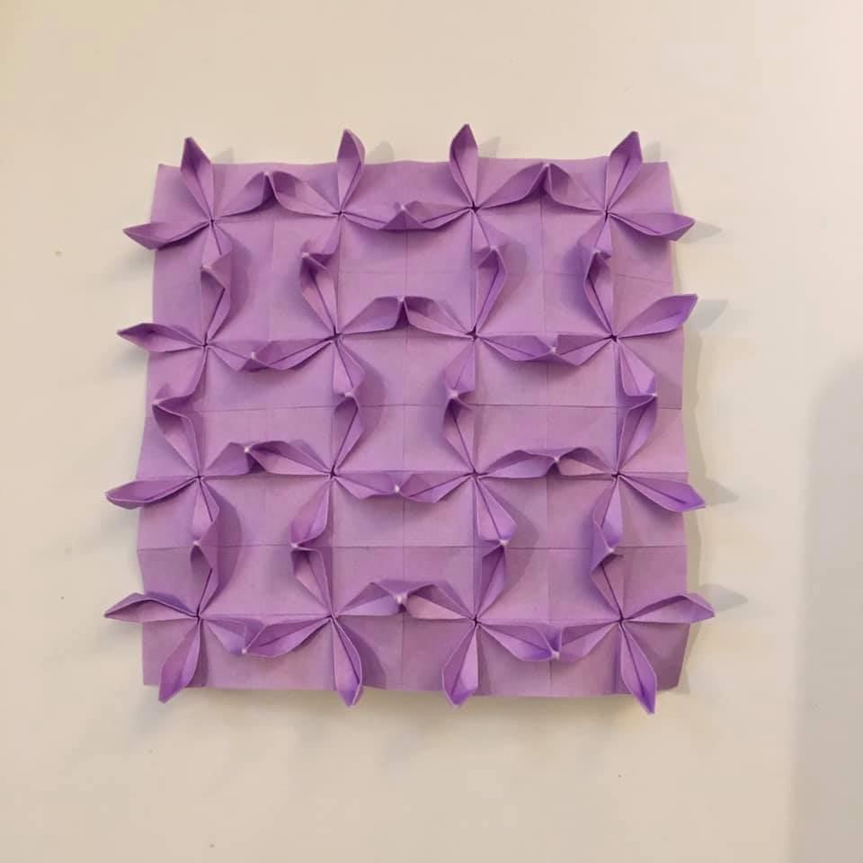 2022/05/18(Wed) 12:14「Clematis Tessellation」Ayumi Hayatsu
（創作者 Author：Michał Kosmulski,　製作者 Folder：Ayumi Hayatsu,　出典 Source：）
 オンラインミーティングでご本人に教えていただきました。