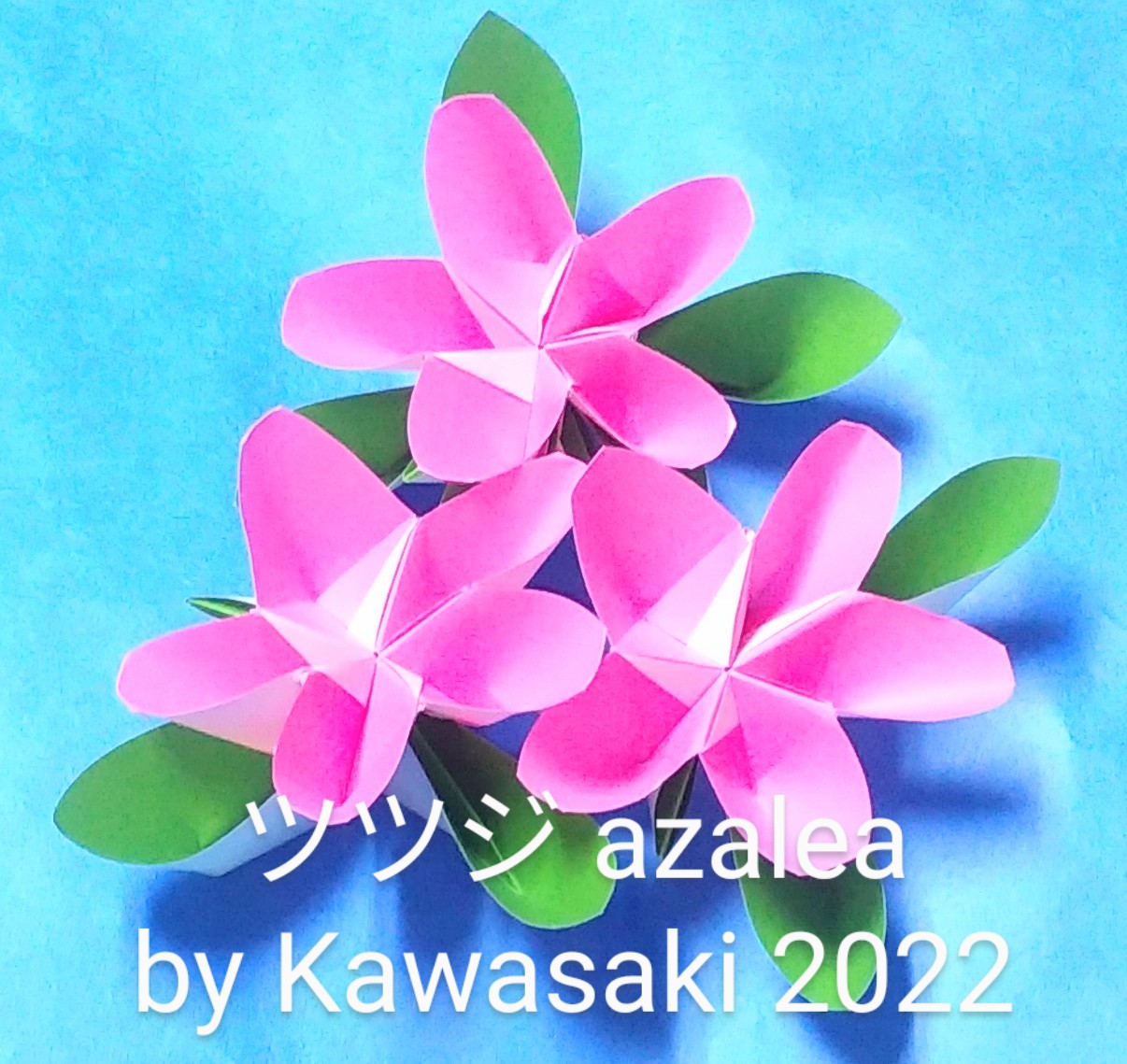 2022/11/28(Mon) 22:21「ツツジ azalea(作2022年11月28日16時8分)  」川崎敏和 T.Kawasaki 
（創作者 Author：川崎敏和 T.Kawasaki ,　製作者 Folder：川崎敏和 T.Kawasaki ,　出典 Source：Kawasaki origami kit 2022）
 誕生日(11/26)にできたバースデーアザレアの葉っぱを改良したことで、思い通りのツツジが表現できました。2022年マイベスト同率2位作品です。 