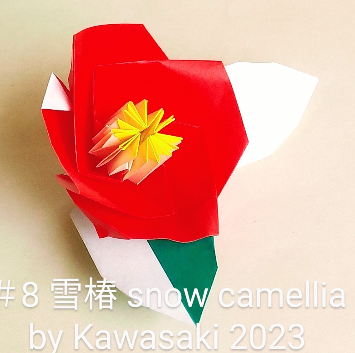 2023/02/05(Sun) 18:16「8雪椿 snow camellia(作2023,2/5,10:50) 」川崎敏和 T.Kawasaki
（創作者 Author：川崎敏和 T.Kawasaki,　製作者 Folder：川崎敏和 T.Kawasaki,　出典 Source：2023年川崎敏和折り紙キット）
 2021年マイベスト第一位作品【椿】に雪を積もらせました。