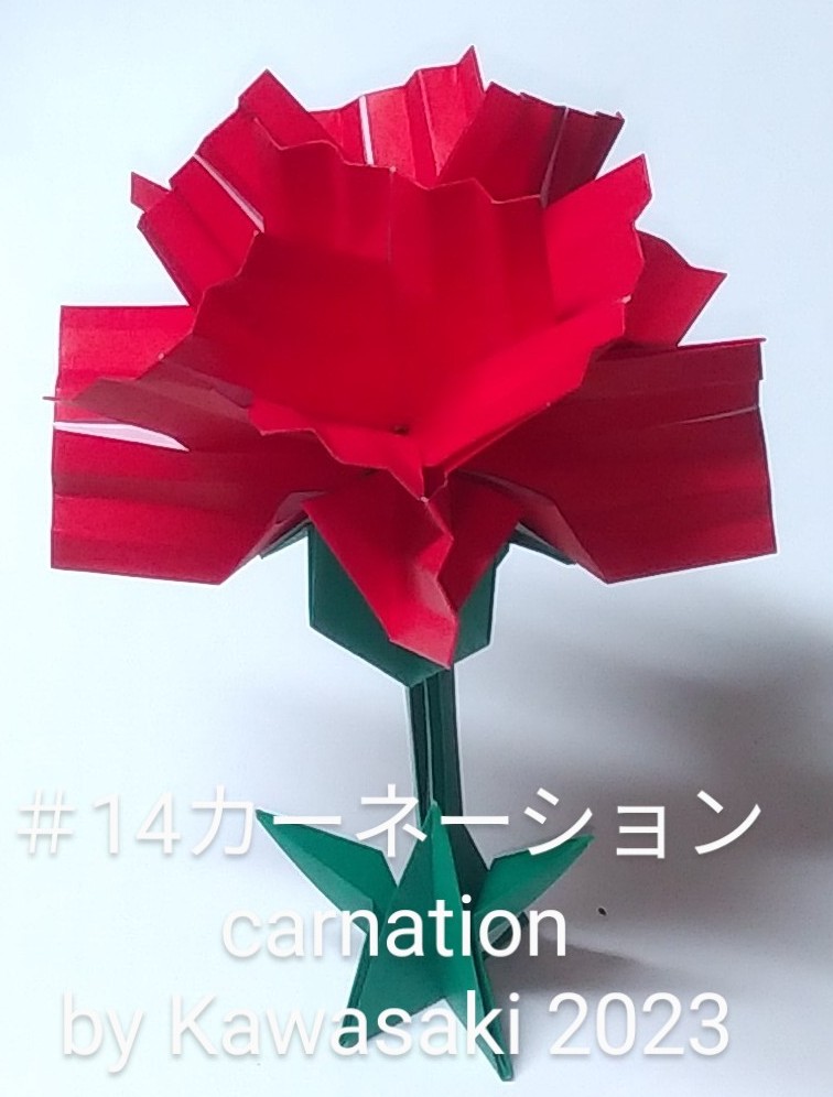 2023/02/18(Sat) 07:50「＃14カーネーション carnation(作2023,2/18,0:43)」川崎敏和 T.Kawasaki
（創作者 Author：川崎敏和 T.Kawasaki ,　製作者 Folder：川崎敏和 T.Kawasaki ,　出典 Source：2023年川崎敏和折り紙キット＃14 Kawasaki origami kit 2023）
 7.5cmで折ったパーツに縦皺をつけて12枚組みました。ガクは2020年最初の作品である一枚折りカーネーション、土台を兼ねた葉っぱはその改訂版、茎は2022年のコロンブスのタンポポのものを使ってまとめました。