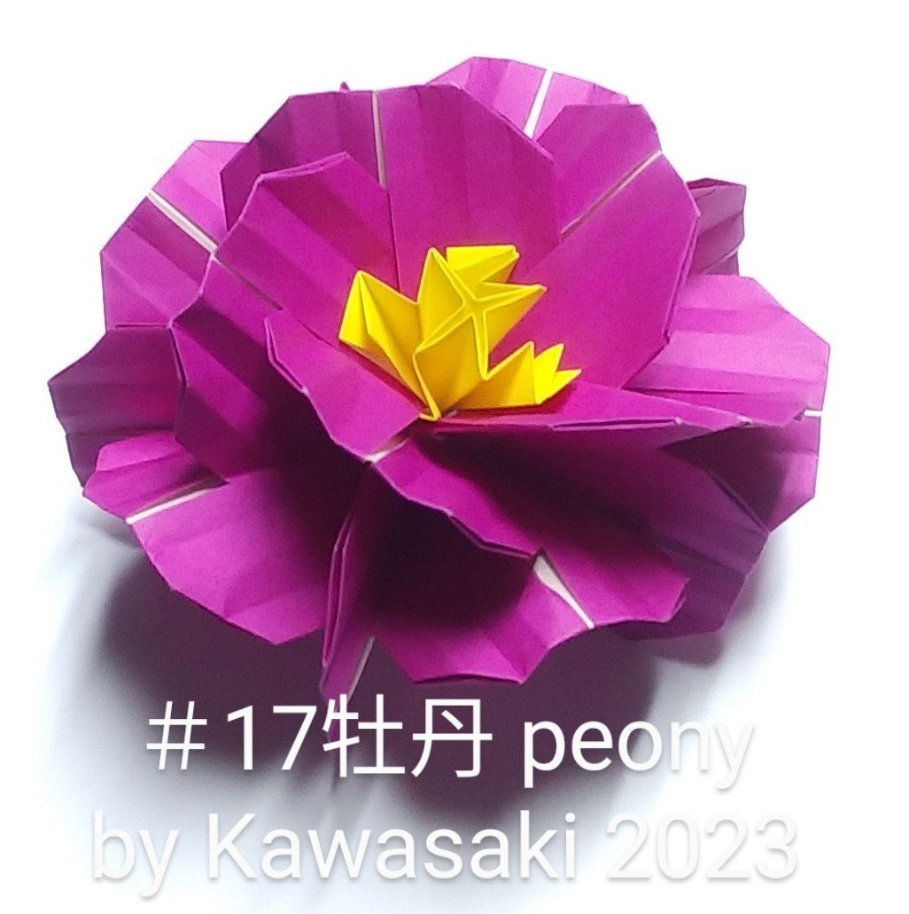 2023/02/23(Thu) 19:08「＃17牡丹 (作2023,2/23,18:52) 」川崎敏和 T.Kawasaki 
（創作者 Author：川崎敏和 T.Kawasaki ,　製作者 Folder：川崎敏和 T.Kawasaki ,　出典 Source：2023年川崎敏和折り紙キット＃17 Kawasaki origami kit 2023）
 ＃14カーネーションの姉妹作品です。10cm角赤紫×15+黄1。