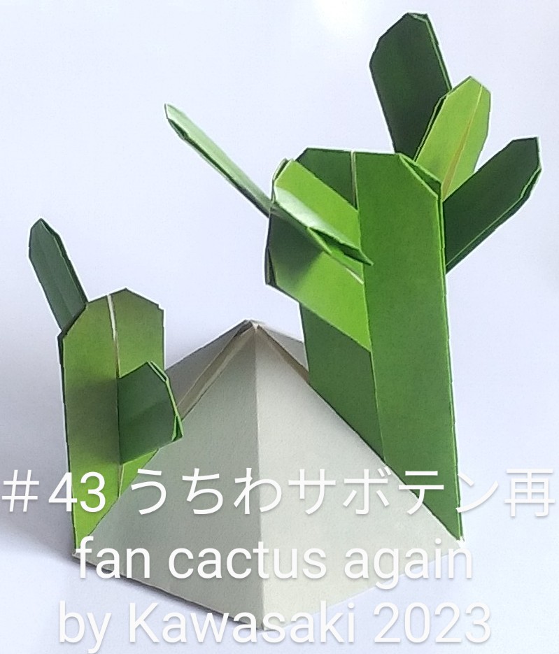 2023/08/14(Mon) 10:48「＃43うちわサボテン再 fan cactus again（作2023年4/28,15:52） 」川崎敏和 T.Kawasaki
（創作者 Author：川崎敏和 T.Kawasaki,　製作者 Folder：川崎敏和 T.Kawasaki ,　出典 Source：2023年川崎敏和折り紙キット＃43）
  ｢菜っ葉みたい｣との中学生の厳しい指摘を受けて、パーツの組み方を変えました。