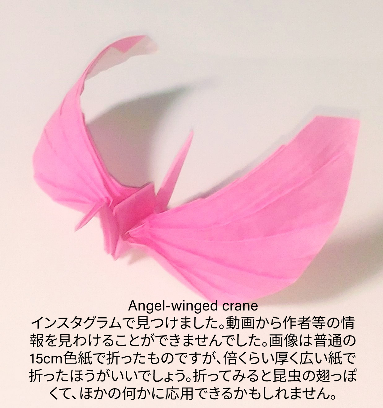 2023/12/08(Fri) 19:22「Angel-winged crane 」川崎敏和 T.Kawasaki
（創作者 Author：不明,　製作者 Folder：川崎敏和 T.Kawasaki ,　出典 Source：https://www.instagram.com/reel/C0kJGPErHV6/?igshid=MTc4MmM1YmI2Ng==）
 インスタグラムで見つけました。 動画から作者等の情報を見わけることができませんでした。画像は普通の15cm色紙で折ったものですが、倍くらい厚く広い紙で折ったほうがいいでしょう。 　折ってみるみると昆虫の翅っぽく、他に応用できるかもしれません。 https://www.instagram.com/reel/C0kJGPErHV6/?igshid=MTc4MmM1YmI2Ng==
