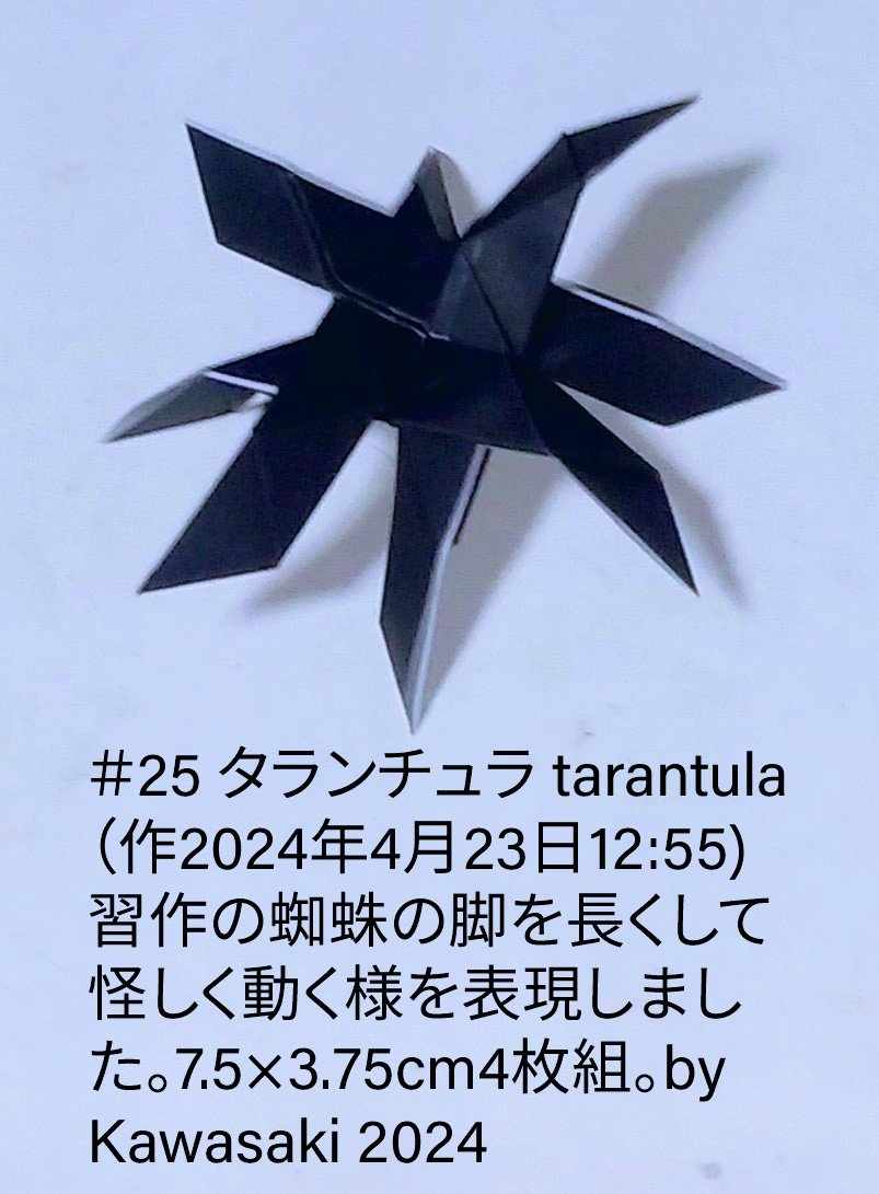 2024/04/23(Tue) 15:41「＃25 タランチュラ tarantula（作2024年4月23日12:55)  」川崎敏和 T.Kawasaki
（創作者 Author：川崎敏和 T.Kawasaki,　製作者 Folder：川崎敏和 T.Kawasaki ,　出典 Source：2024年川崎敏和折り紙キット＃25）
 習作の蜘蛛の脚を長くして怪しく動く様を表現しました。7.5×3.75cm4枚組。by Kawasaki 2024