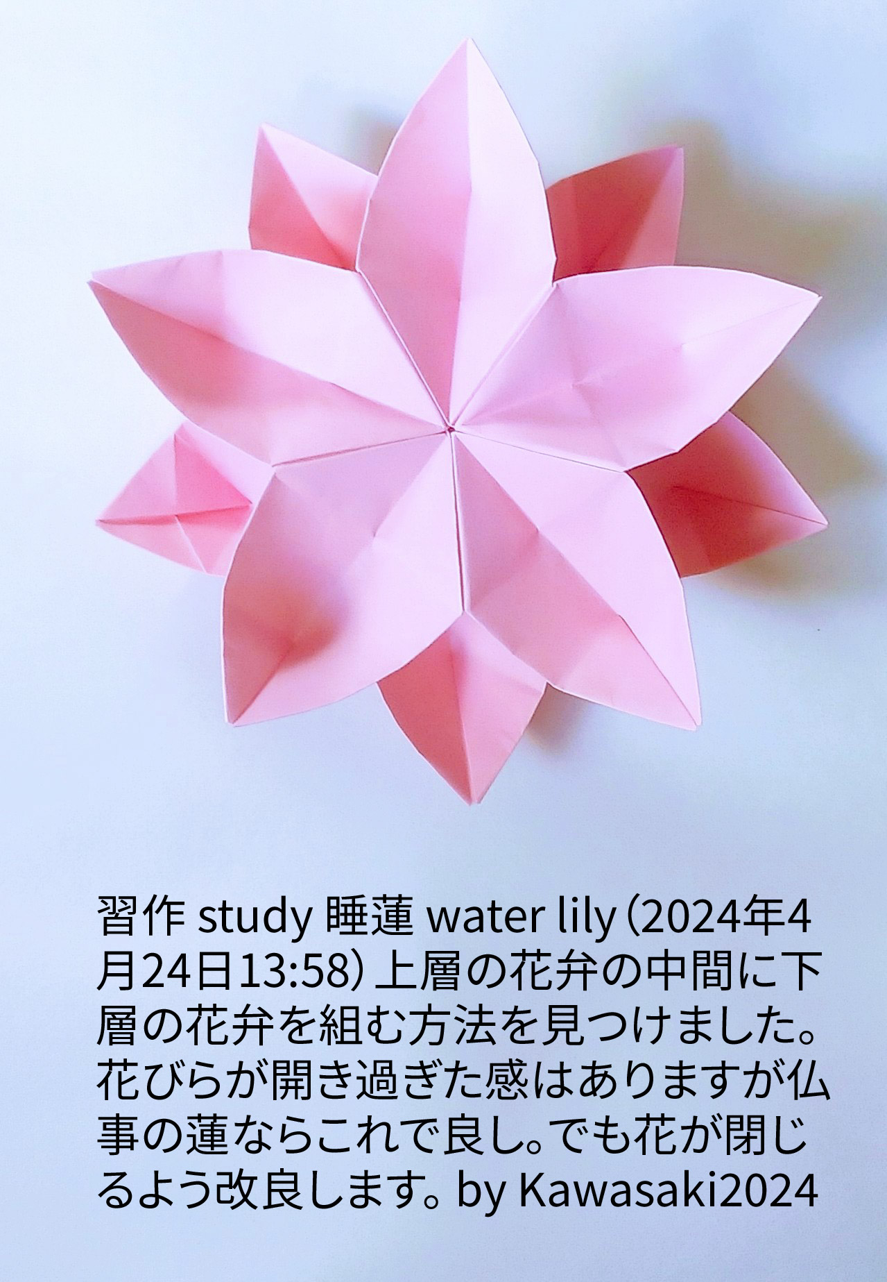 2024/04/24(Wed) 14:22「習作 study 睡蓮 water lily （2024年4月24日13:58）」川崎敏和 T.Kawasaki
（創作者 Author：川崎敏和 T.Kawasaki,　製作者 Folder：川崎敏和 T.Kawasaki ,　出典 Source：折り図無し no diagrm）
 上層の花弁の中間に下層の花弁を組む方法を見つけました。花びらが開き過ぎた感はありますが仏事の蓮ならこれで良し。でも花が閉じるよう改良します。 by Kawasaki2024