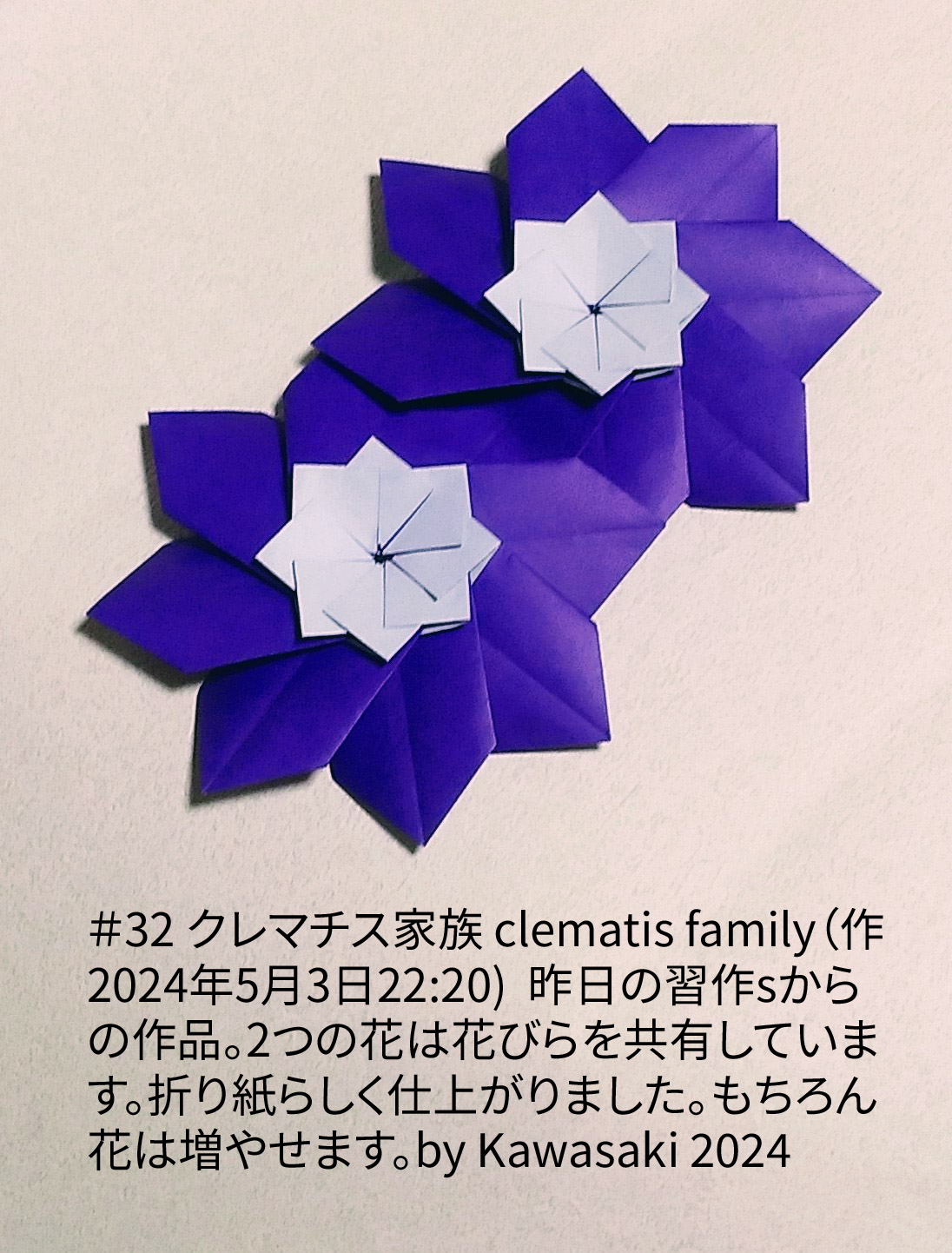 2024/05/03(Fri) 23:57「＃32 クレマチス家族 clematis family（作2024年5月3日22:20) 」川崎敏和 T.Kawasaki
（創作者 Author：川崎敏和 T.Kawasaki,　製作者 Folder：川崎敏和 T.Kawasaki ,　出典 Source：2024年川崎敏和折り紙キット＃32）
 昨日の習作sからの作品。2つの花は花びらを共有しています。折り紙らしく仕上がりました。もちろん花は増やせます。by Kawasaki 2024