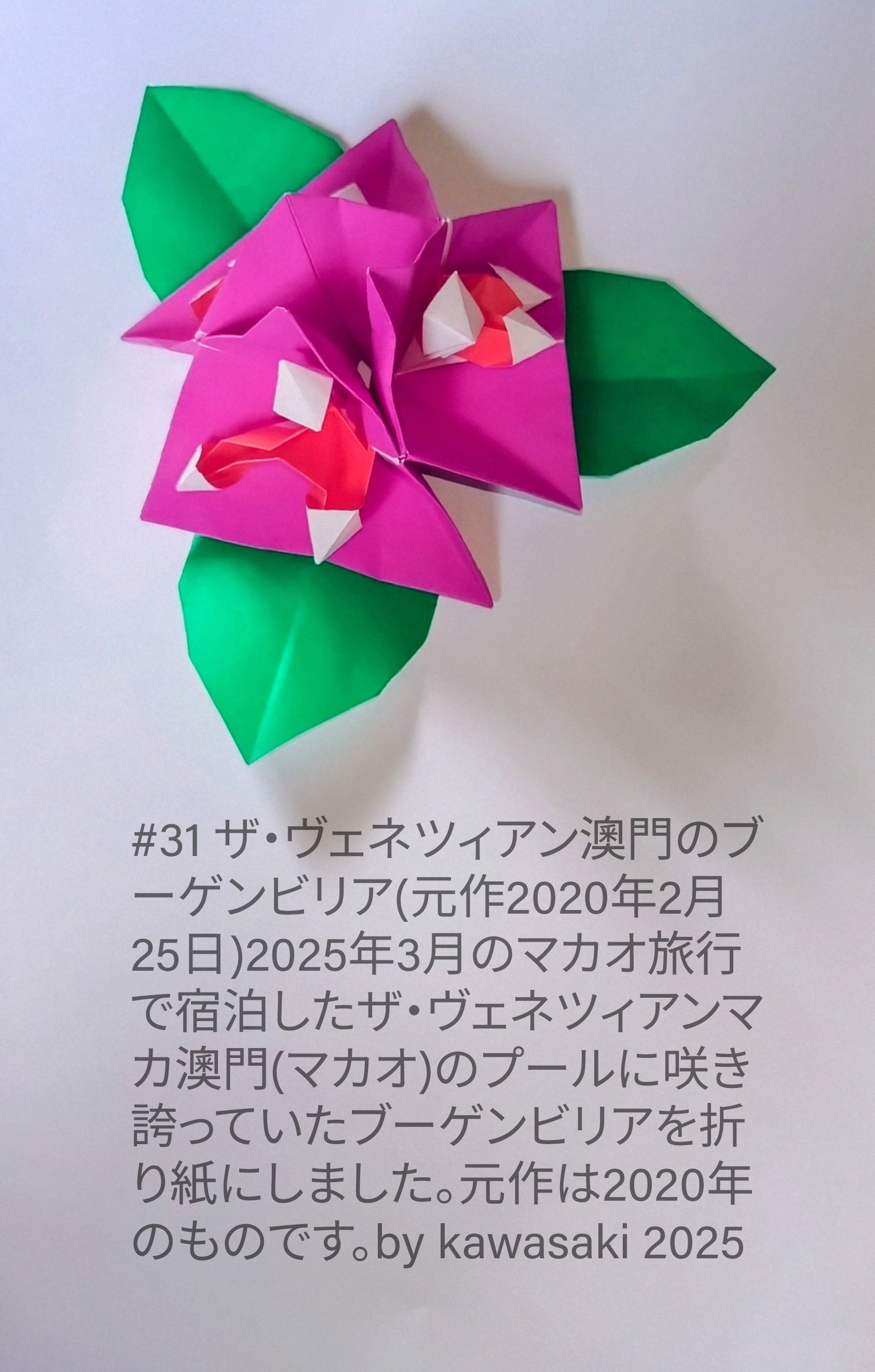 2025/04/03(Thu) 16:02「#31 ザ・ヴェネツィアン澳門(マカオ)のブーゲンビリア(元作2020年2月25日)」川崎敏和 Toshikazu Kawasaki
（創作者 Author：川崎敏和 Toshikazu Kawasaki,　製作者 Folder：川崎敏和 Toshikazu Kawasaki,　出典 Source：川崎折り紙キット2025＃31）
 #31 ザ・ヴェネ2025年3月のマカオ旅行で宿泊したザ・ヴェネツィアンマカ澳門(マカオ)のプールに咲き誇っていたブーゲンビリアを折り紙にしました。元作は2020年のものです。by kawasaki 2025