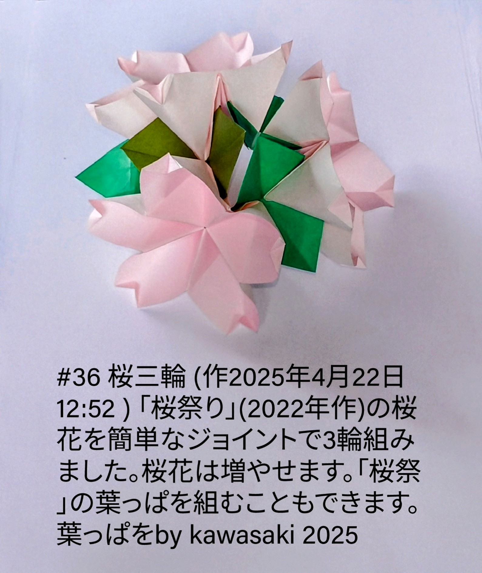 2025/04/23(Wed) 08:22「#36 桜三輪 (作2025年4月22日12:52 ) 」崎敏和
（創作者 Author：川崎敏和 Toshikazu Kawasaki,　製作者 Folder：川崎敏和 Toshikazu Kawasaki,　出典 Source：川崎折り紙キット2025＃36）
 「桜祭り」(2022年作)の桜花を簡単なジョイントで3輪組みました。桜花は増やせます。「桜祭」の葉っぱを組むこともできます。by kawasaki 2025