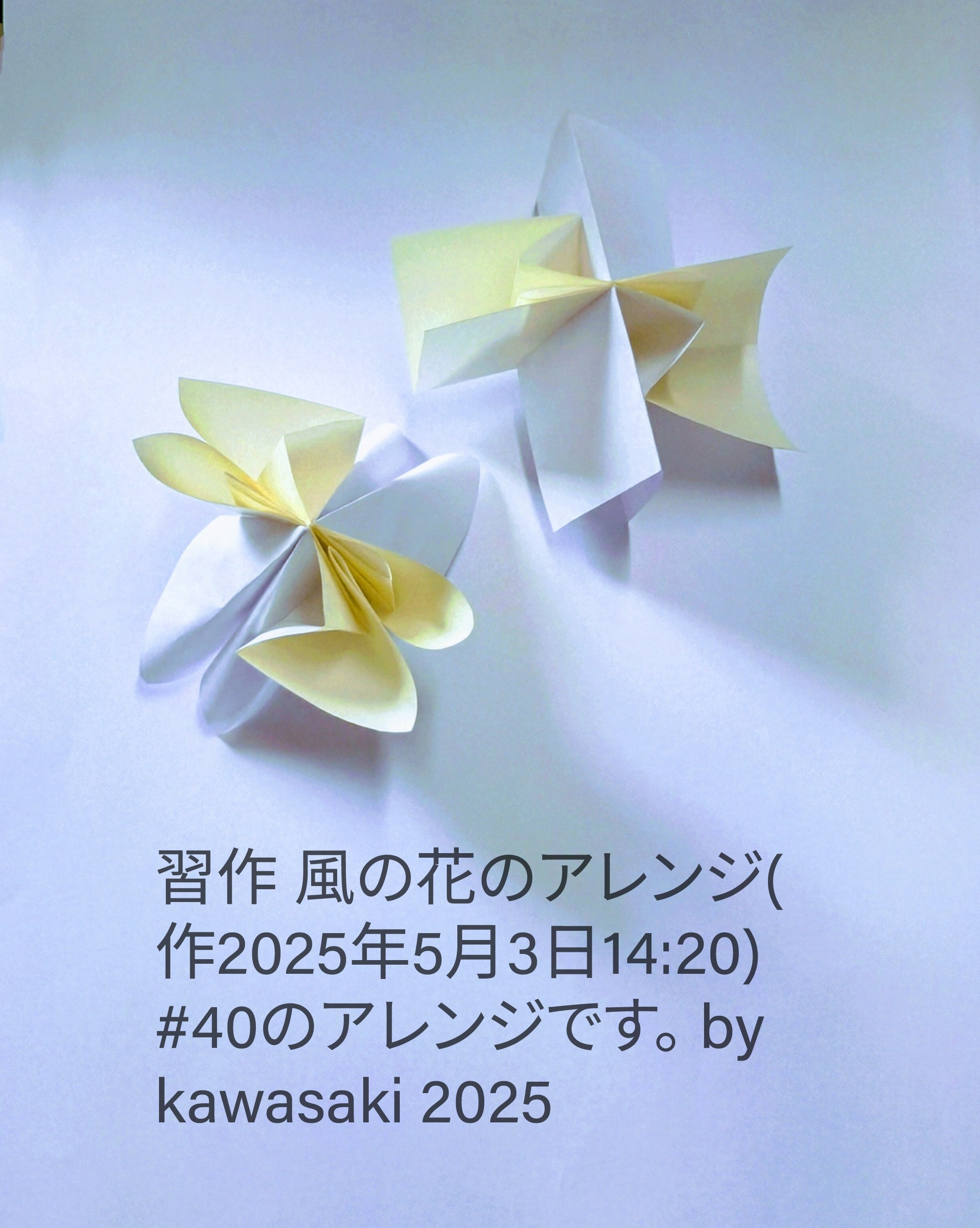 2025/05/03(Sat) 15:23「習作 風の花のアレンジ(作2025年5月3日14:20) 」川崎敏和 Toshikazu Kawasaki
（創作者 Author：川崎敏和 Toshikazu Kawasaki,　製作者 Folder：川崎敏和 Toshikazu Kawasaki,　出典 Source：no diagram）
 #40風の花のアレンジ。 by kawasaki 2025
