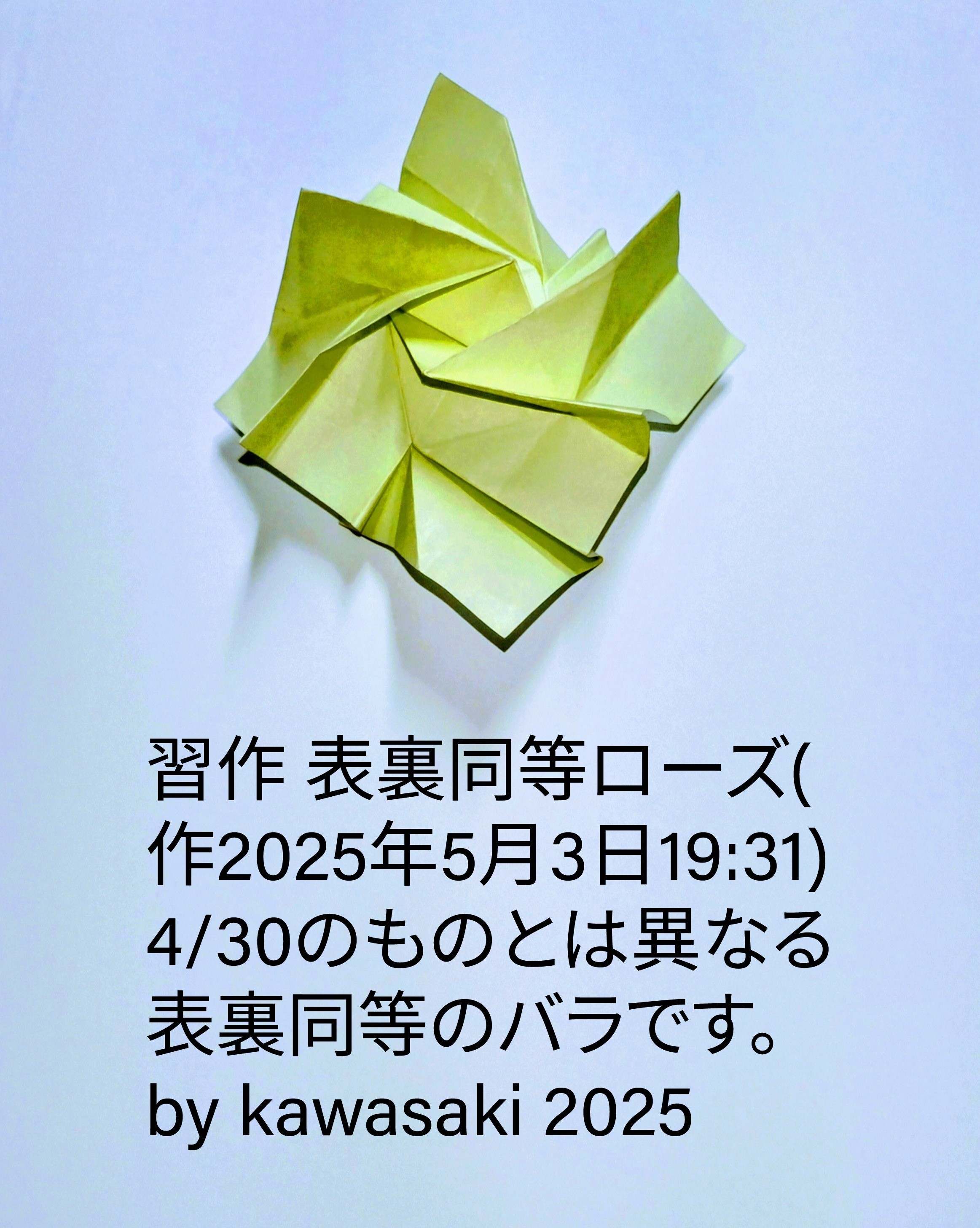 2025/05/03(Sat) 19:45「習作 表裏同等ローズ(作2025年5月3日19:31) 」川崎敏和 Toshikazu Kawasaki
（創作者 Author：川崎敏和 Toshikazu Kawasaki,　製作者 Folder：川崎敏和 Toshikazu Kawasaki,　出典 Source：no diagram）
 4/30のものとは異なる表裏同等のバラです。 by kawasaki 2025