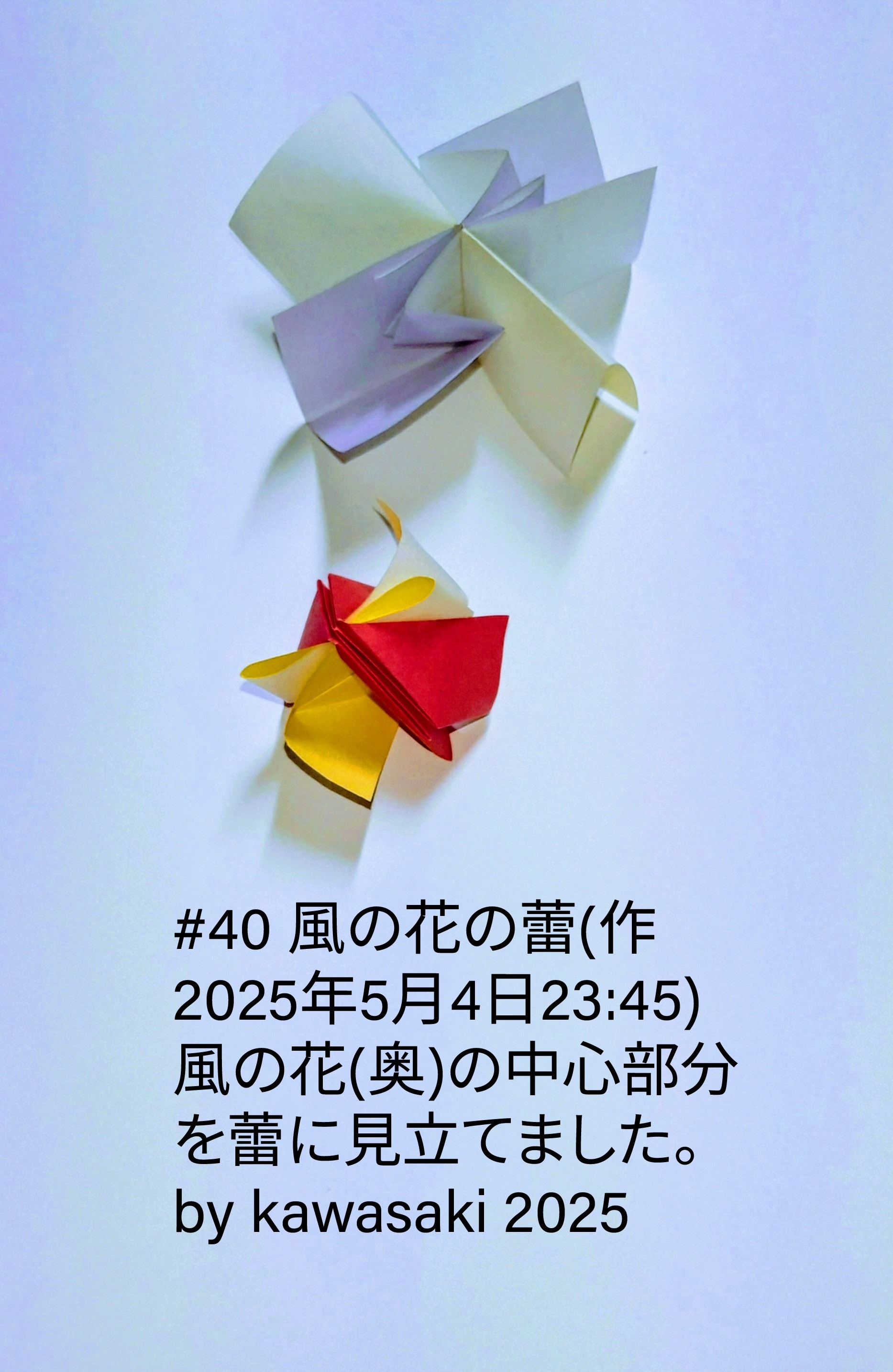 2025/05/05(Mon) 05:26「#40 風の花の蕾(作2025年5月4日23:45)  」川崎敏和 Toshikazu Kawasaki
（創作者 Author：川崎敏和 Toshikazu Kawasaki,　製作者 Folder：川崎敏和 Toshikazu Kawasaki,　出典 Source：川崎折り紙キット2025＃40）
 風の花(奥)の中心部分を蕾に見立てました。by kawasaki 2025