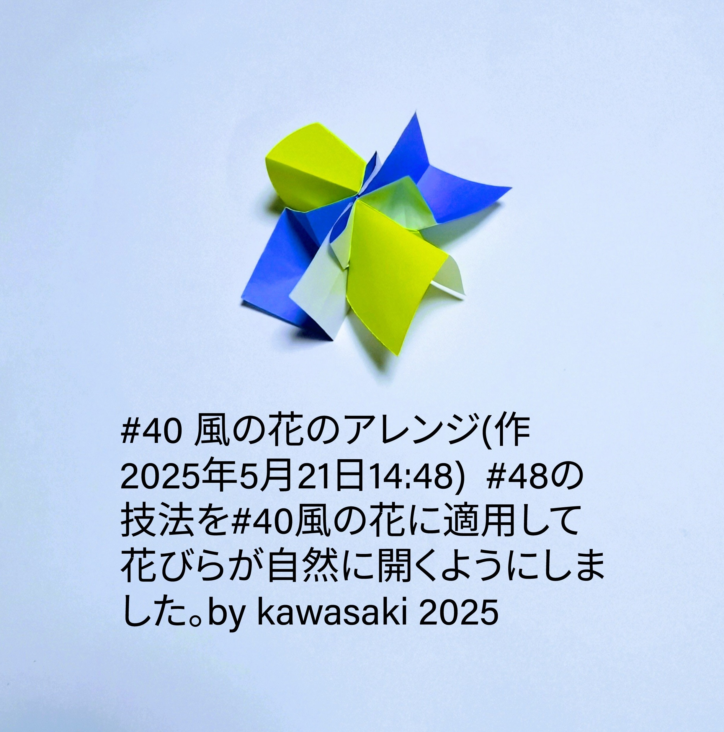 2025/05/21(Wed) 16:07「#40 風の花のアレンジ(作2025年5月21日14:48) 」川崎敏和 Toshikazu Kawasaki
（創作者 Author：川崎敏和 Toshikazu Kawasaki,　製作者 Folder：川崎敏和 Toshikazu Kawasaki,　出典 Source：川崎折り紙キット2025＃40）
 #48の技法を#40風の花に適用して花びらが自然に開くようにしました。by kawasaki 2025